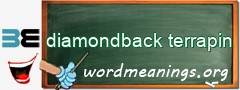 WordMeaning blackboard for diamondback terrapin
